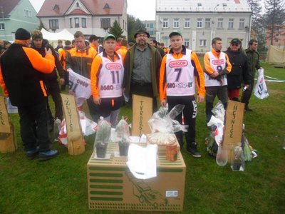 HEJNICKÝ DREVORUBAČ 