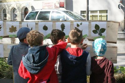 4. ročník Dňa lesov 