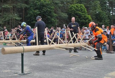 41. ročník Lesnického dne v Ralsku a XVI. mistrovství ČR v práci s motorovou pilou – Pohár VLS 2017. 