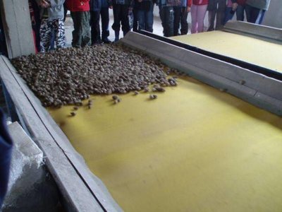 exkurzia v podniku Semenoles Liptovský Hrádok 