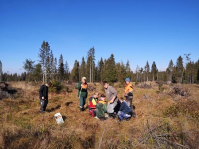 Ochrana lesa - činnosť na OVY
