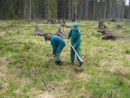 Stredná odborná škola lesnícka Tvrdošín